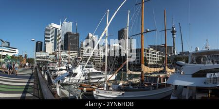 AUCKLAND, NUOVA ZELANDA, 24 GENNAIO 2023, porto di Auckland durante il sole del giorno estivo, nuova Zelanda, Oceania Foto Stock