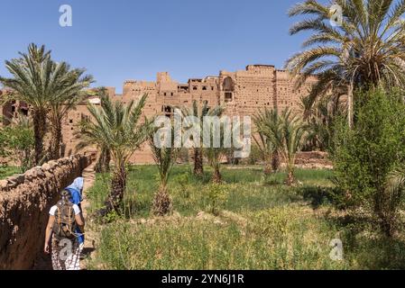 Terreno agricolo di fronte al pittoresco villaggio berbero di Tamenougalt nella valle del Draa, un turista condotto da un berbero al villaggio, Marocco, Africa Foto Stock