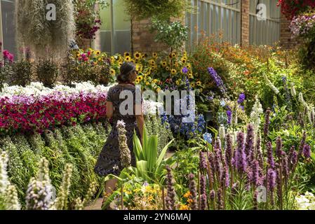 Splendidi fiori al Domain Wintergarden di Auckland, nuova Zelanda, Oceania Foto Stock