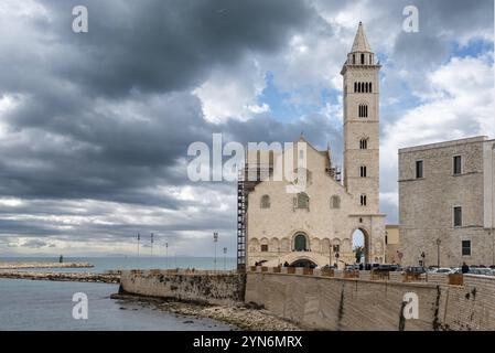 Dettagli della facciata della cattedrale di Trani, Italia, Europa Foto Stock