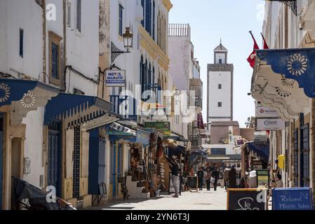 Vicolo idilliaco nella medina di Essaouira, Marocco, Africa Foto Stock
