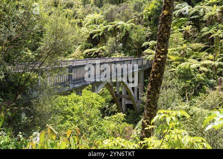 Tour sul fiume Whanganui incontaminato e attraverso la giungla circostante, Isola del Nord della Nuova Zelanda Foto Stock