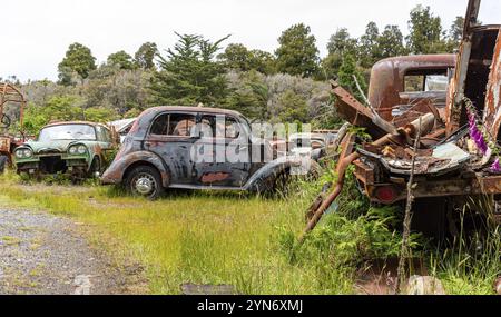 Auto d'epoca su un grande scrapyard alla fine del percorso Old Coach Road, Isola del Nord della Nuova Zelanda Foto Stock