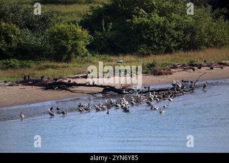 Barra de Cazones, Veracruz, Messico Foto Stock