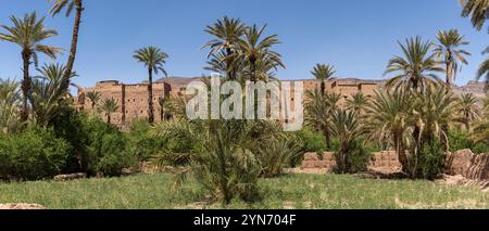 Terreno agricolo di fronte al pittoresco villaggio berbero di Tamenougalt nella valle del Draa, un turista condotto da un berbero al villaggio, Marocco, Africa Foto Stock