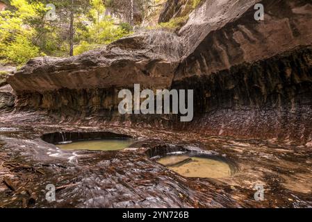 Magnifica gola della metropolitana nel Parco Nazionale di Zion nello Utah, Stati Uniti, Nord America Foto Stock