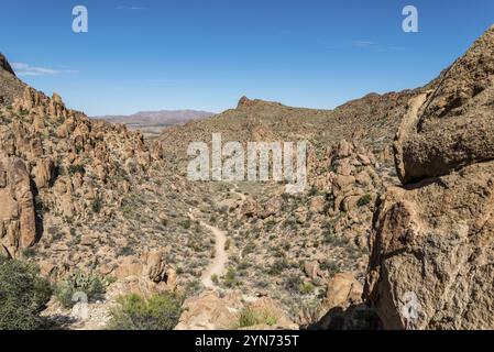 Hikeng le colline di Grapevine secche nel Parco Nazionale di Big Bend negli Stati Uniti Foto Stock