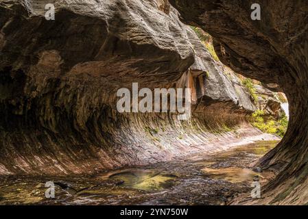 Magnifica gola della metropolitana nel Parco Nazionale di Zion nello Utah, Stati Uniti, Nord America Foto Stock