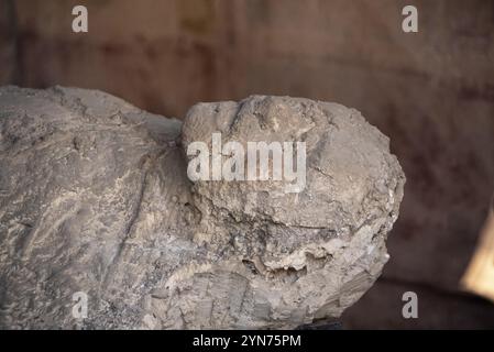 POMPEI, ITALIA, 4 MAGGIO 2022, abitanti Pompei pietrificati nella loro ultima situazione di vita, Italia meridionale Foto Stock