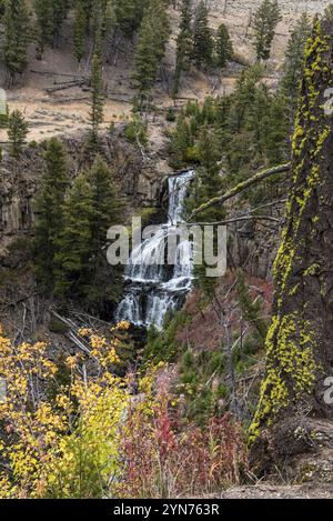 Una piccola cascata nascosta nel nord del parco nazionale di Yellowstone, Stati Uniti, Nord America Foto Stock