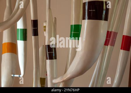 Albero filogenetico di piante terrestri all'interno del museo di paleobotanica ed etnobotanica dell'Orto Botanico reale di Napoli Foto Stock