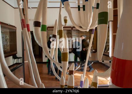 Albero filogenetico di piante terrestri all'interno del museo di paleobotanica ed etnobotanica dell'Orto Botanico reale di Napoli Foto Stock