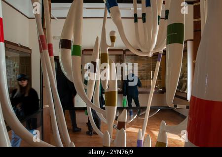 Albero filogenetico di piante terrestri all'interno del museo di paleobotanica ed etnobotanica dell'Orto Botanico reale di Napoli Foto Stock