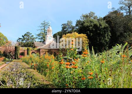 Torre dell'orologio vista dal giardino sommerso con fogliame autunnale e fiori fioriti alla Filoli Historic House and Garden, Woodside, California. Foto Stock
