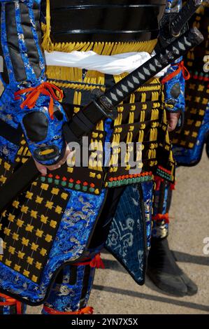 Guerriero samurai con una spada katana mentre è in costume al Festival del Castello di Hikone nella prefettura di Shiga, Giappone. Foto Stock