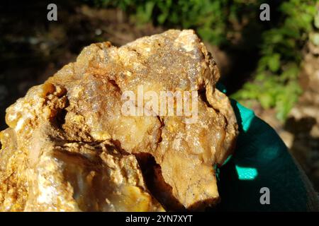 Superficie accidentata di calcedonia non trattata trovata in un ruscello, ricerca di rocce in natura Foto Stock