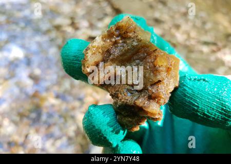 Frammento di Chalcedony trovato in un ruscello, ricerca di minerali, Russia Foto Stock