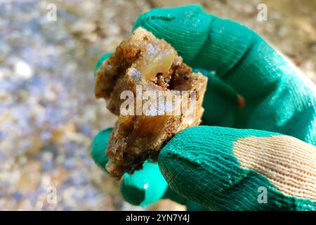 Frammento di Chalcedony trovato in un ruscello, ricerca di minerali, Russia Foto Stock