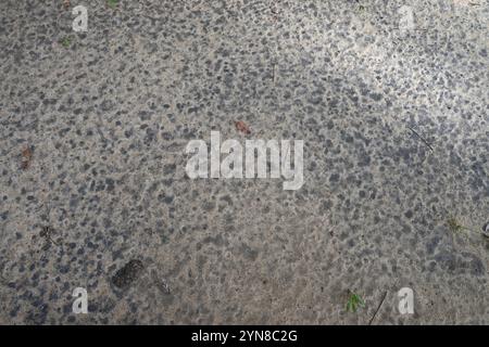 Una vista del sottile strato di terreno sabbioso che ha un design dalla texture unica a causa delle gocce di pioggia cadute. Foto Stock