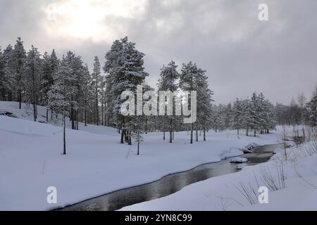 Jokkmokk, Svezia. 6 aprile 2021. Una foresta di pini è vista durante una nevicata a Jokkmokk, Lapponia svedese. La Svezia rappresenta circa il 18 per cento della superficie forestale totale dell'Unione europea. Il 70 per cento del territorio svedese è coperto da foreste. (Foto di Apolline Guillerot-Malick/SOPA Images/Sipa USA) credito: SIPA USA/Alamy Live News Foto Stock