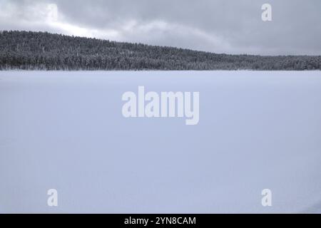 Jokkmokk, Svezia. 6 aprile 2021. Un lago ghiacciato, circondato da pini innevati, si trova a Jokkmokk, Svezia. La Svezia rappresenta circa il 18 per cento della superficie forestale totale dell'Unione europea. Il 70 per cento del territorio svedese è coperto da foreste. (Foto di Apolline Guillerot-Malick/SOPA Images/Sipa USA) credito: SIPA USA/Alamy Live News Foto Stock