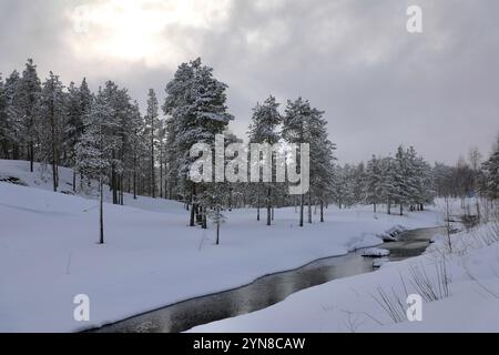 Jokkmokk, contea di Norrbotten, Svezia. 6 aprile 2021. Una foresta di pini è vista durante una nevicata a Jokkmokk, Lapponia svedese. La Svezia rappresenta circa il 18 per cento della superficie forestale totale dell'Unione europea. Il 70 per cento del territorio svedese è coperto da foreste. (Credit Image: © Apolline Guillerot-Malick/SOPA Images via ZUMA Press Wire) SOLO PER USO EDITORIALE! Non per USO commerciale! Foto Stock