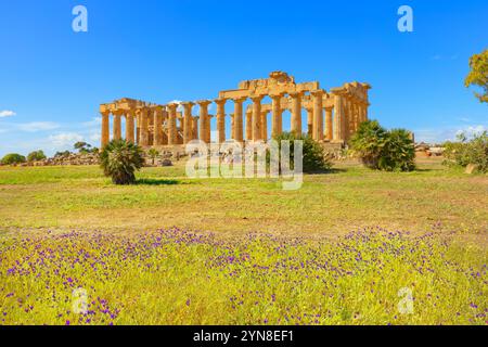 Tempio e, Parco Archeologico di Selinunte, Selinunte, Distretto di Trapani, Sicilia, Italia Foto Stock