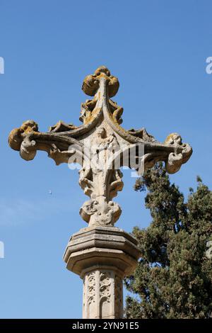 Arte romanica. Il Royal Monastero benedettino di Sant Cugar. Dettaglio della croce di pietra. Sant Cugat del Valles. La Catalogna. Spagna. Foto Stock