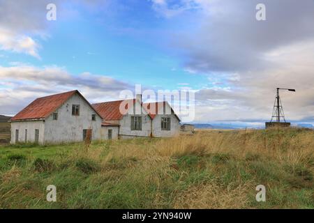 Vecchie case abbandonate ricoperte di erba in campagna. Tipica architettura di edifici residenziali in Islanda Foto Stock