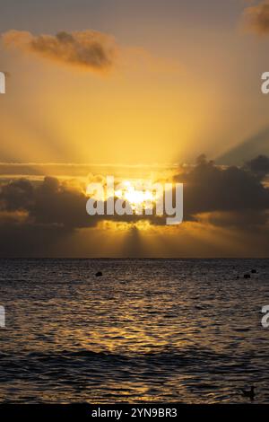 Kingsand, Cornovaglia. 25 novembre 2024. Crediti: DGDImages/Alamy Live News Foto Stock