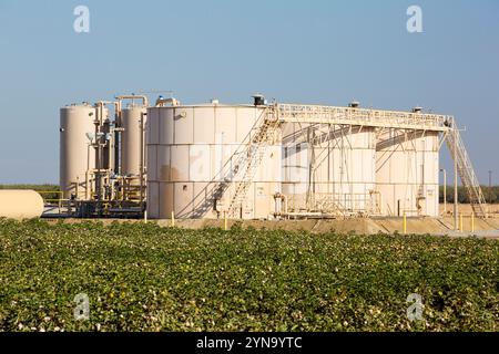 Il sito di fracking viene frantumato, vicino a Farmers Cotton Crops, Wasco, California, USA Foto Stock