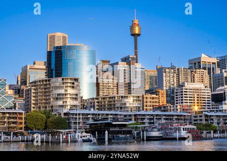 Australia, nuovo Galles del Sud, Sydney, distretto di Barangaroo, la torre AMP più alta dell'emisfero meridionale (305 m), completata nel 1981 Foto Stock