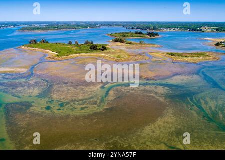 Francia, Morbihan, Ria d'Etel, Belz, si snoda di fronte alle isole e agli isolotti del fiume Étel (vista aerea) Foto Stock