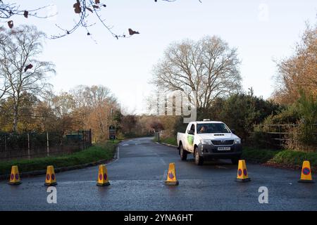 Farnham Common, Regno Unito. 25 novembre 2024. Dopo Storm Bert, Burnham Beeches a Farnham Common, Buckinghamshire rimane chiuso al pubblico mentre i ranger ispezionano il bosco per individuare alberi caduti. Burnham Beeches è molto popolare tra gli appassionati di cani ed è di proprietà della City of London Corporation. Crediti: Maureen McLean/Alamy Live News Foto Stock