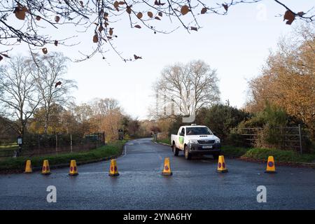 Farnham Common, Regno Unito. 25 novembre 2024. Dopo Storm Bert, Burnham Beeches a Farnham Common, Buckinghamshire rimane chiuso al pubblico mentre i ranger ispezionano il bosco per individuare alberi caduti. Burnham Beeches è molto popolare tra gli appassionati di cani ed è di proprietà della City of London Corporation. Crediti: Maureen McLean/Alamy Live News Foto Stock