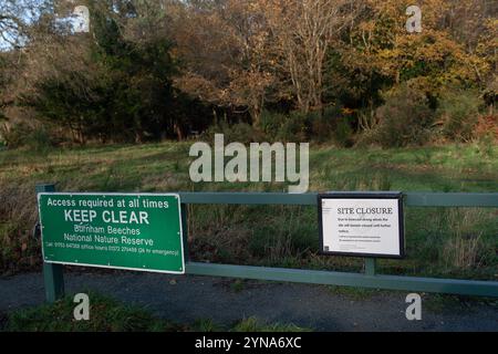 Farnham Common, Regno Unito. 25 novembre 2024. Dopo Storm Bert, Burnham Beeches a Farnham Common, Buckinghamshire rimane chiuso al pubblico mentre i ranger ispezionano il bosco per individuare alberi caduti. Burnham Beeches è molto popolare tra gli appassionati di cani ed è di proprietà della City of London Corporation. Crediti: Maureen McLean/Alamy Live News Foto Stock