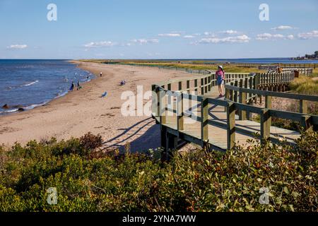 Canada, provincia del nuovo Brunswick, costa acadiana, duna Bouctouche, Irving Eco-Centre Foto Stock