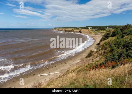 Canada, provincia del nuovo Brunswick, costa acadiana, regione Caps, Pokeshaw, parco provinciale Foto Stock