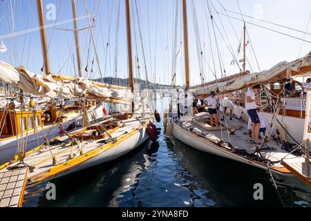 Francia, Alpi marittime, Cannes, Régates Royales, regate annuali di vela classica Foto Stock