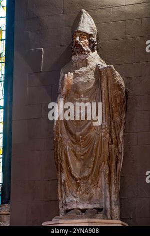 Irlanda, provincia di Leinster, Dublino, la chiesa cattedrale di San Patrizio è una chiesa nazionale della Repubblica d'Irlanda, statua di San Patrizio Foto Stock