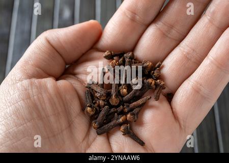 Spezie a spicchio asciutte su un macro palmo femminile. Il palmo di Womah tiene intere gemme di chiodi di garofano da vicino. Concetto di raccolta, spezie, cucina e erboristeria. Vista dall'alto. Foto Stock