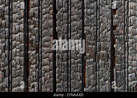 Le tavole di legno bruciato hanno una texture macro in una giornata di sole. Sfondo dettagliato di tavole di legno carbonizzato. Superficie verticale della tavola di legno bruciata. Foto Stock
