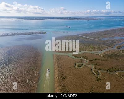 Francia, Charente-Maritime, le Château-d'Oléron, piatto di ostriche sul canale dello Chateau con la bassa marea, diretto ai parchi delle ostriche (vista aerea) Foto Stock