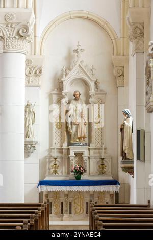 Francia, Meurthe et Moselle, Bouxieres sous Froidmont, chiesa di nostra Signora della Natività, l'altare dedicato a San Giuseppe Foto Stock