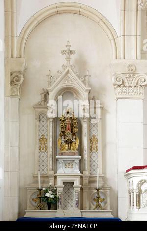 Francia, Meurthe et Moselle, Bouxieres sous Froidmont, chiesa della Madonna della Natività, altare della Vergine Foto Stock