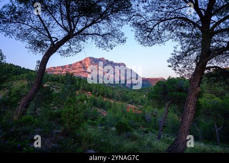 Francia, Bouches du Rhone (13), Pays d'Aix, Grand Site Sainte Victoire, Beaurecueil, montagne Sainte Victoire Foto Stock