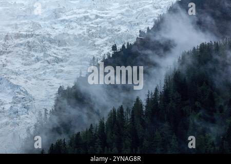 Francia, alta Savoia (74), Chamonix, Glacier des Bossons Foto Stock