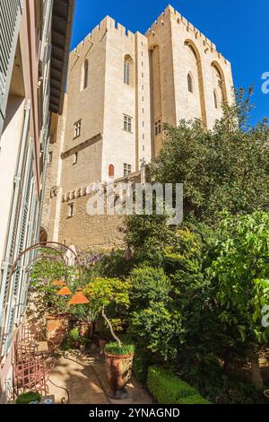 Francia, Vaucluse (84), Avignone, ristorante dell'hotel la Mirande Foto Stock