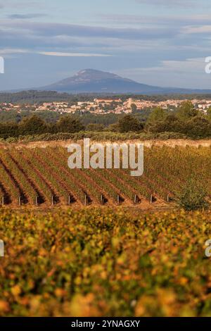 Francia, Var (83), Dracenie, Taradeau, AOP Cotes de Provence, Domaines Ott, Chateau la Selle, Village de Lorgues Foto Stock