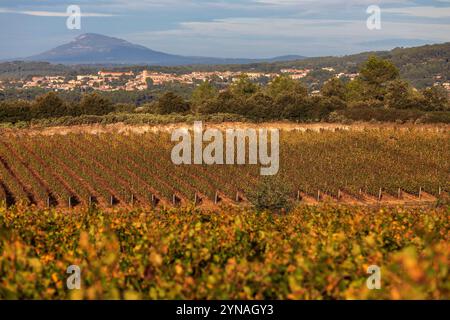 Francia, Var (83), Dracenie, Taradeau, AOP Cotes de Provence, Domaines Ott, Chateau la Selle, Village de Lorgues Foto Stock